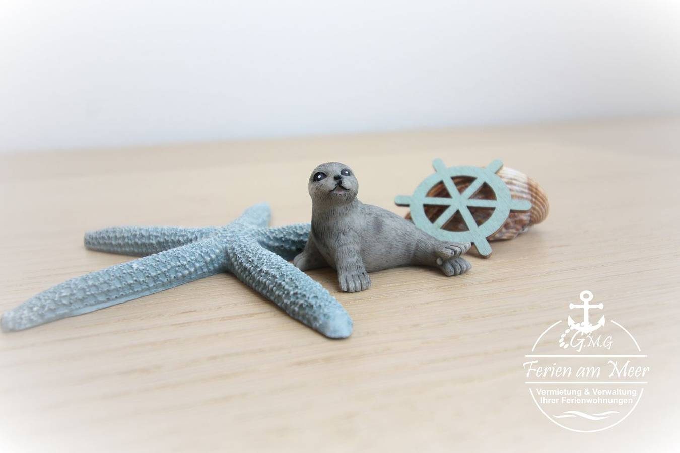 Chillmöwe - Möwenweg — Bild 5