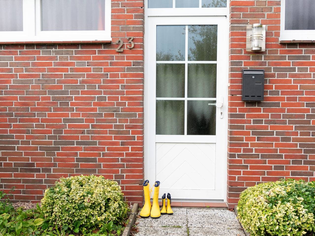Seefalke — Bild 5