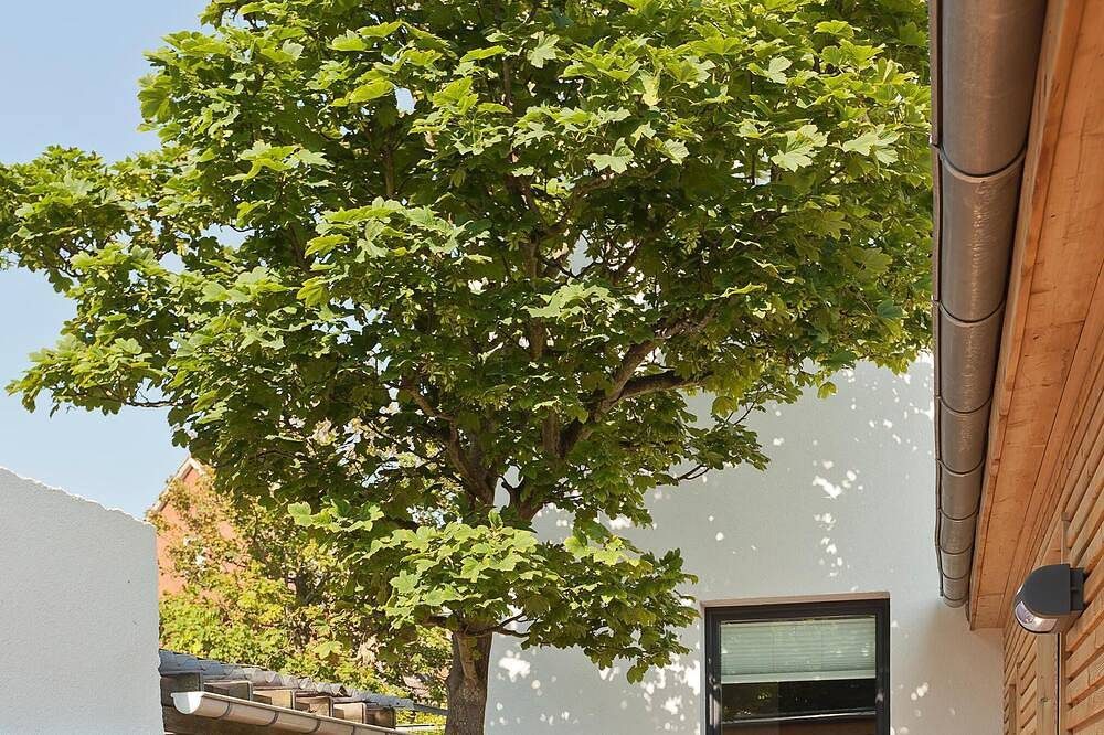 Haus \"Kleine Auszeit\" - Lee — Bild 3