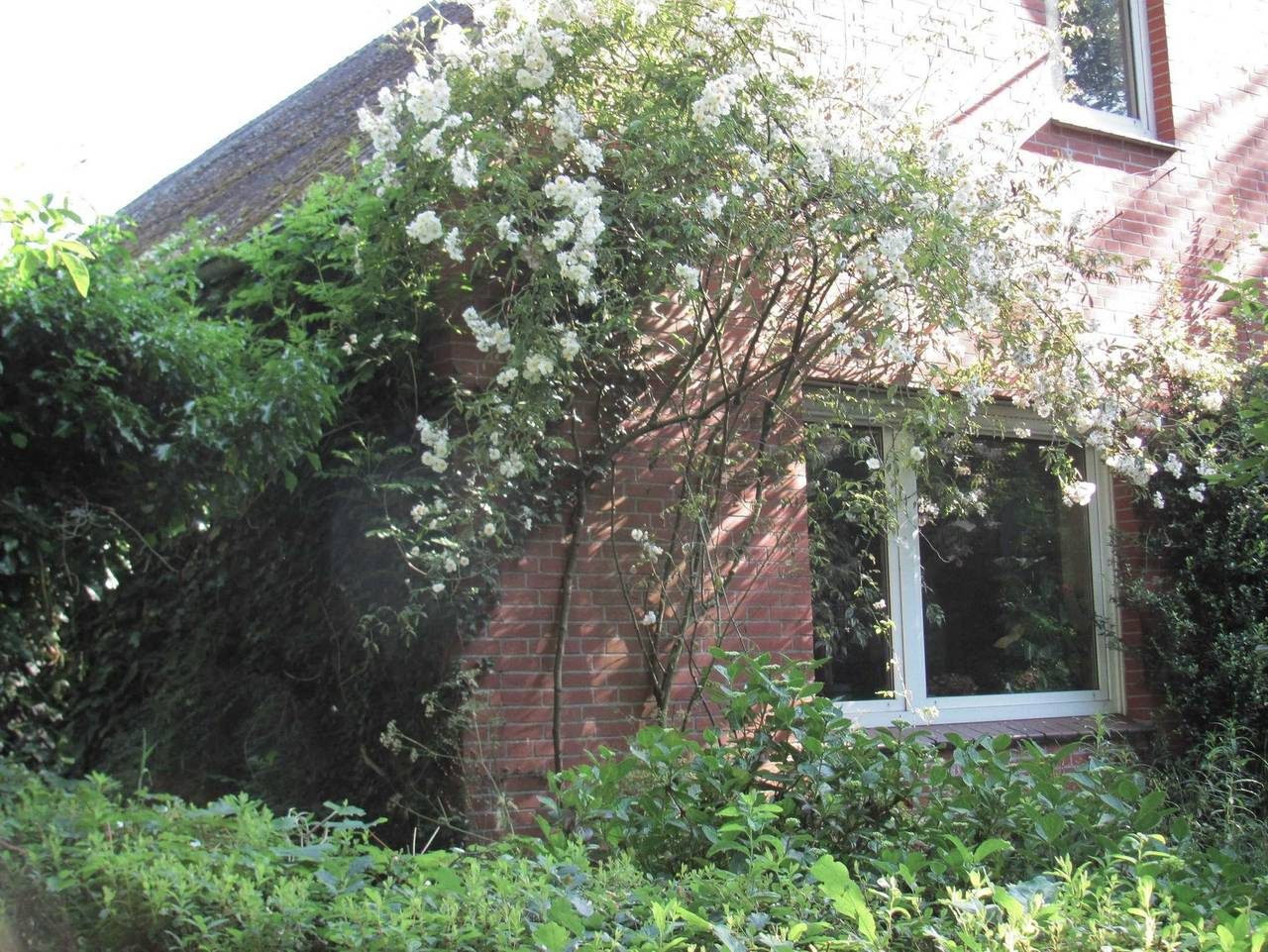 Gästezimmer im Engelshof, 61224 — Bild 3