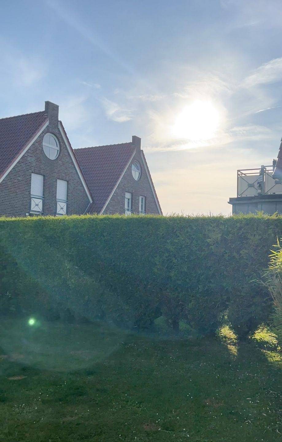 Möwennest - Fewo Heringsmöwe — Bild 2
