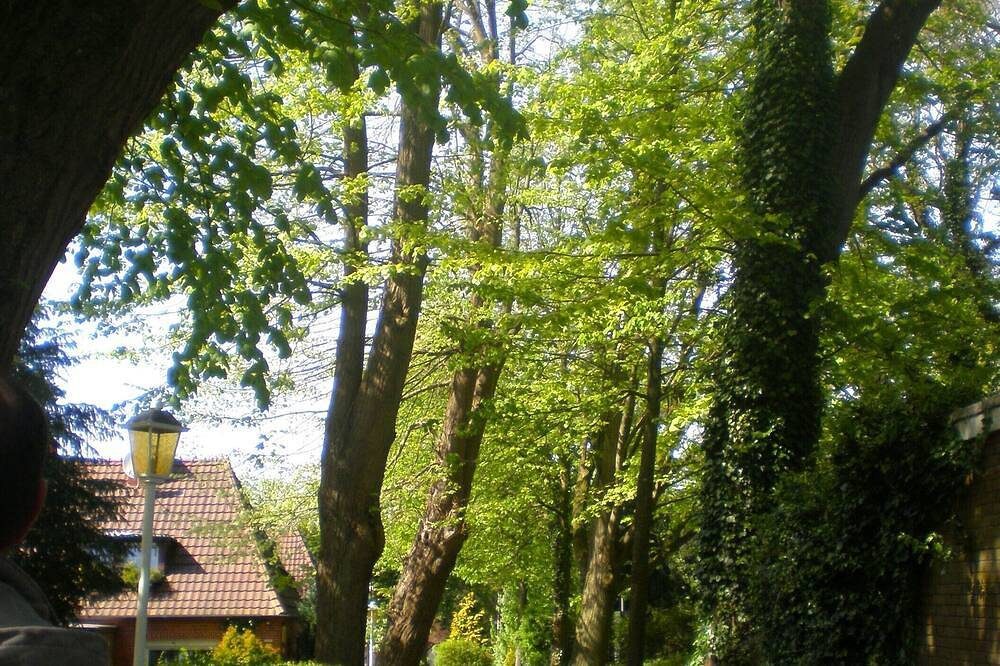 Apartment neu renoviert, nur 5 min. Gehweg bis zum Zentrum Emdens. — Bild 3