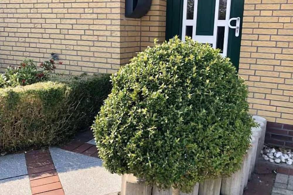Das wunderschön ruhig gelegene Doppelhaus Dünenwind