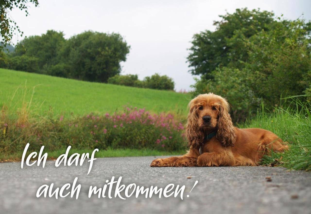 Ferienhaus am See — Bild 3