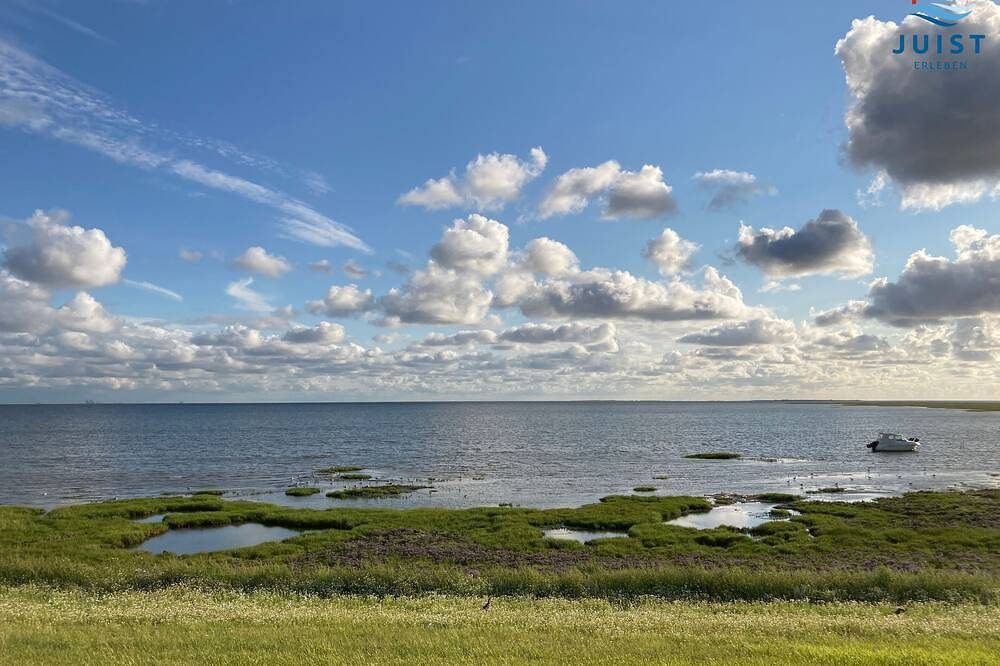 Familienfreundliche Wohnung mit Hafenblick im Ortskern. — Bild 4