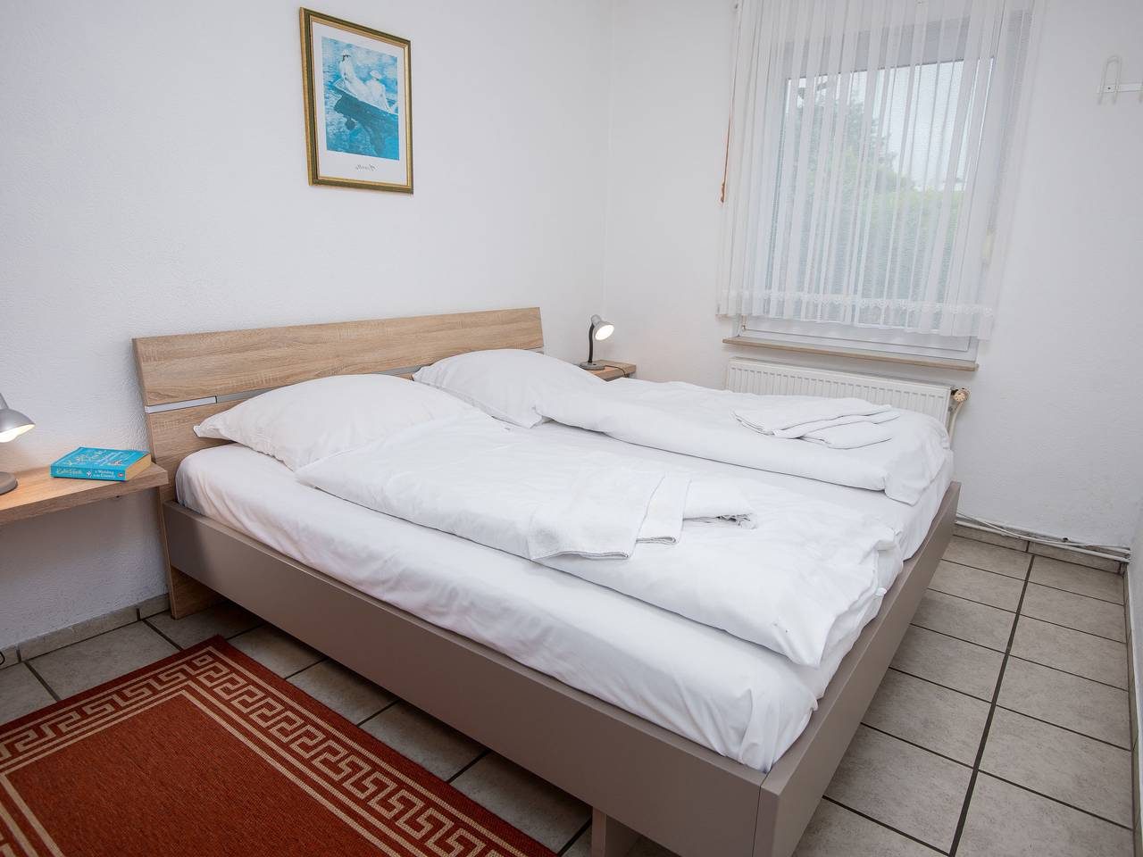 Seefalke — Bild 4