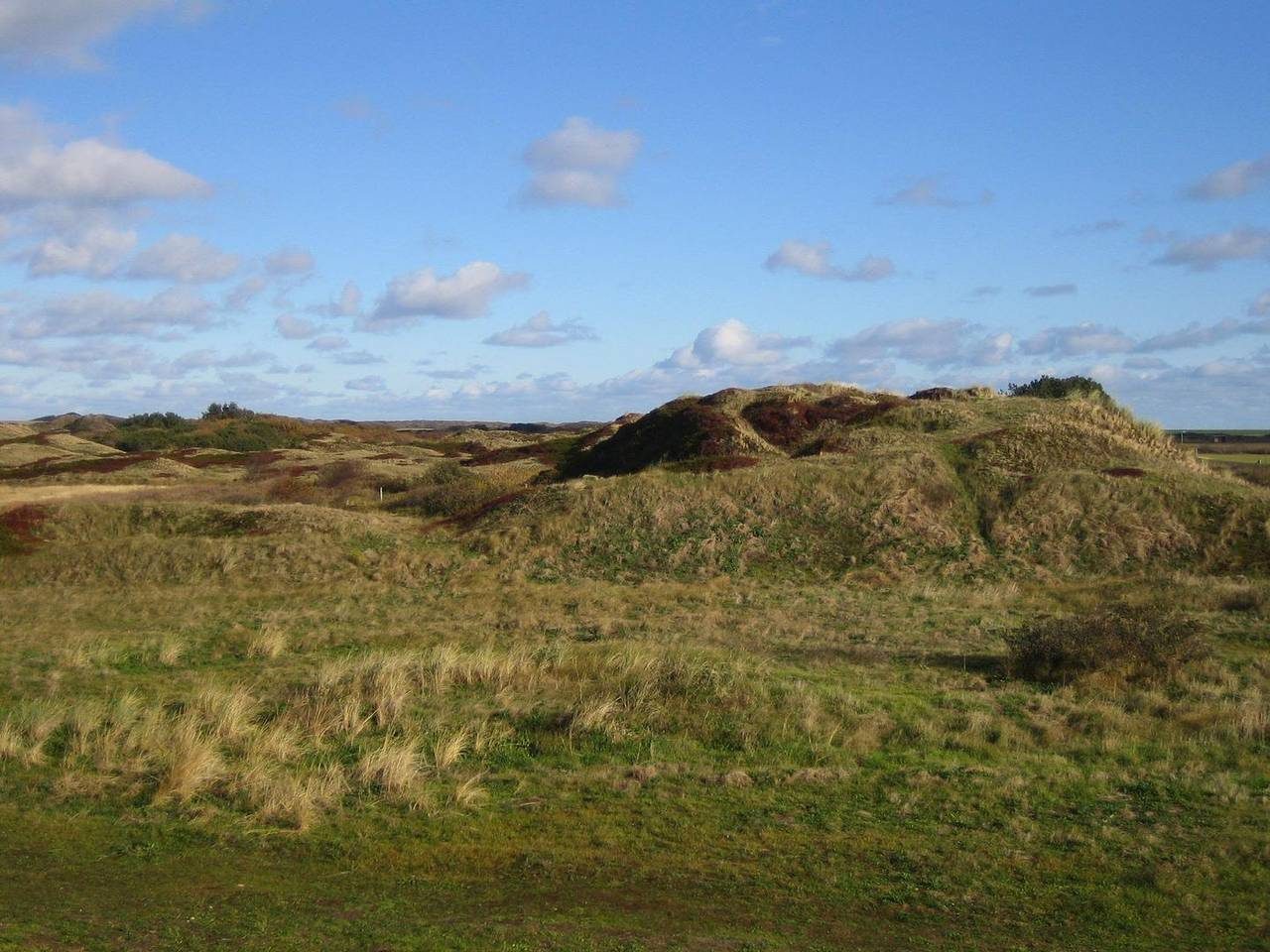 Insel Langeoog: Ferienhaus Wunderschönes renoviertes