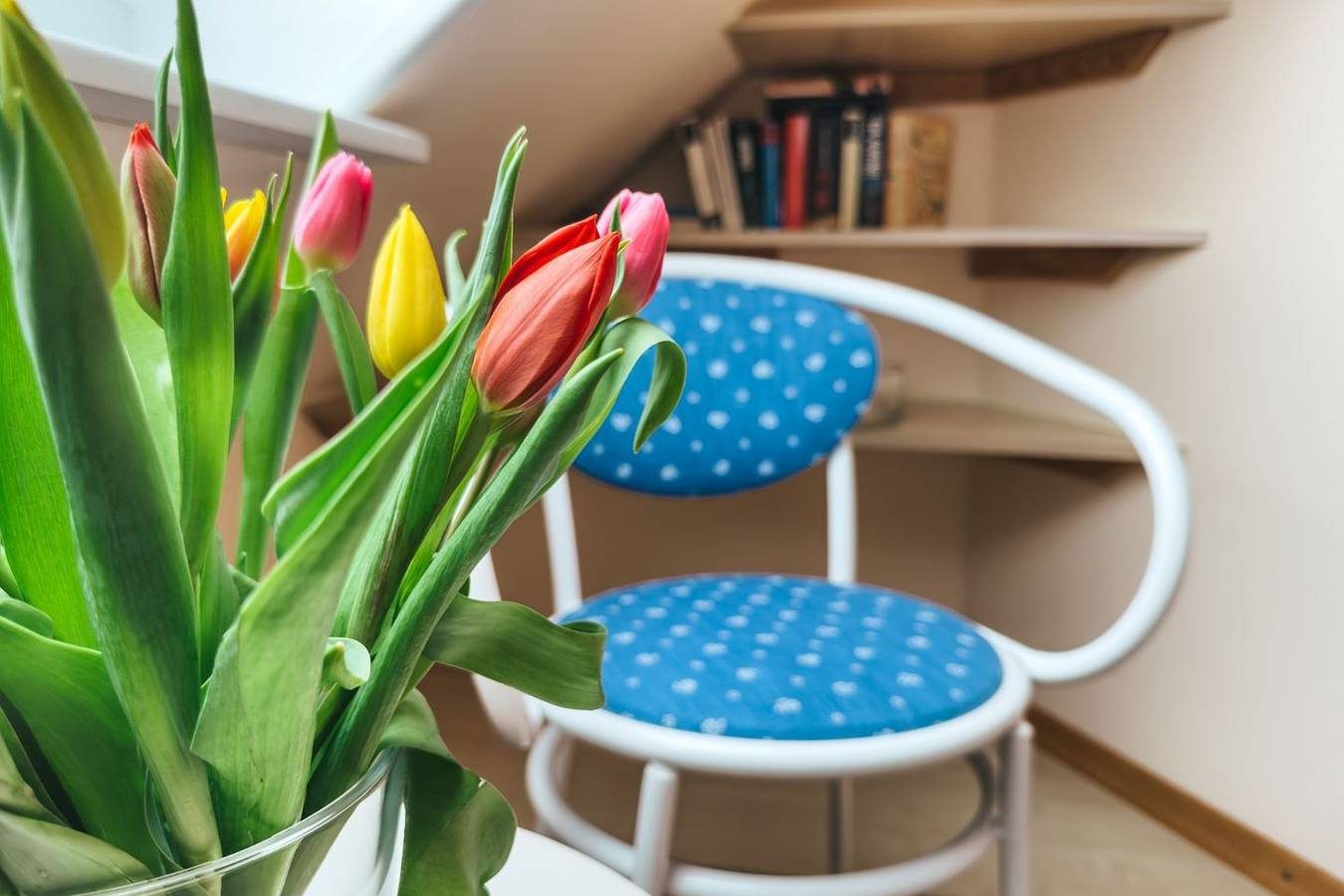 Gemütliche 3 Raum-Ferienwohnung für bis zu 2 Personen — Bild 4
