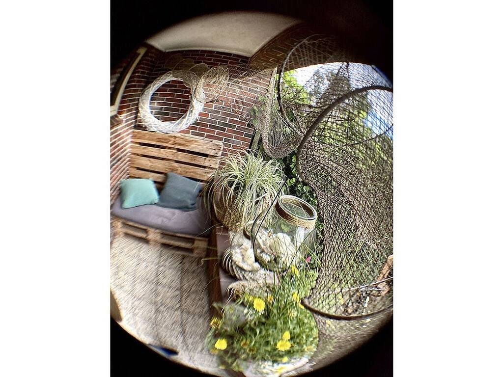 Pusteblume Komfortable Ferienresidenz — Bild 3