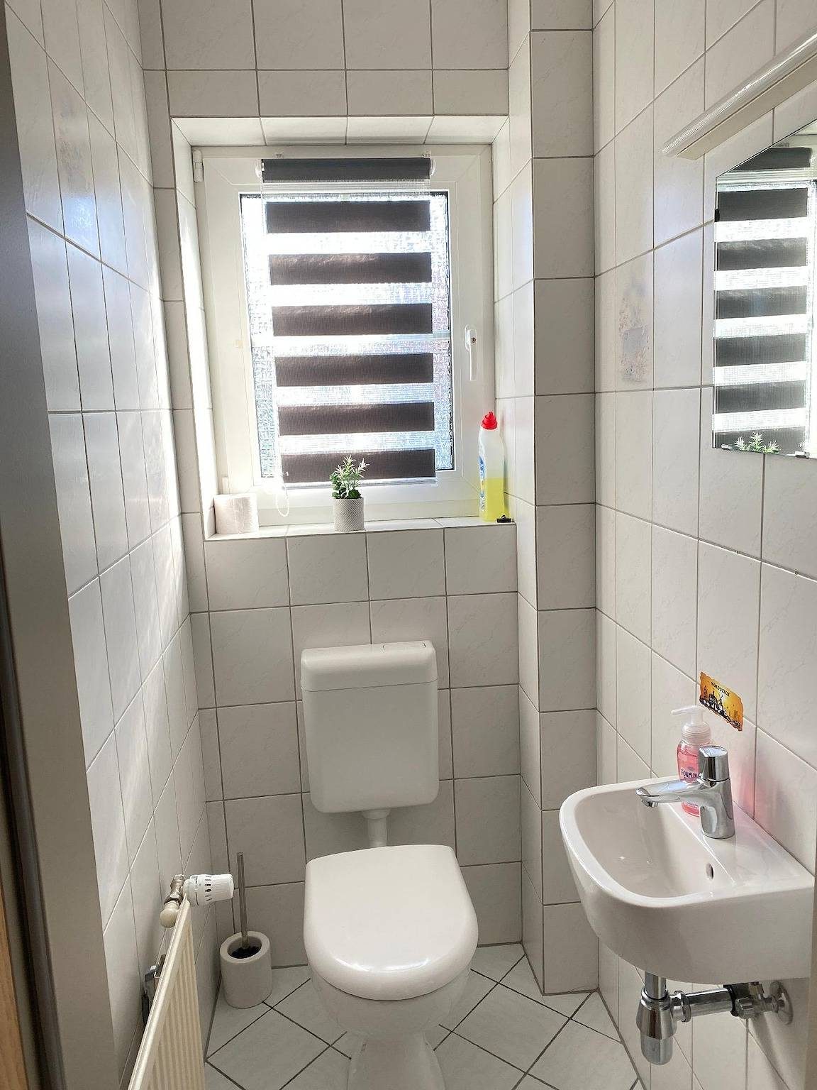 Möwengruß — Bild 5