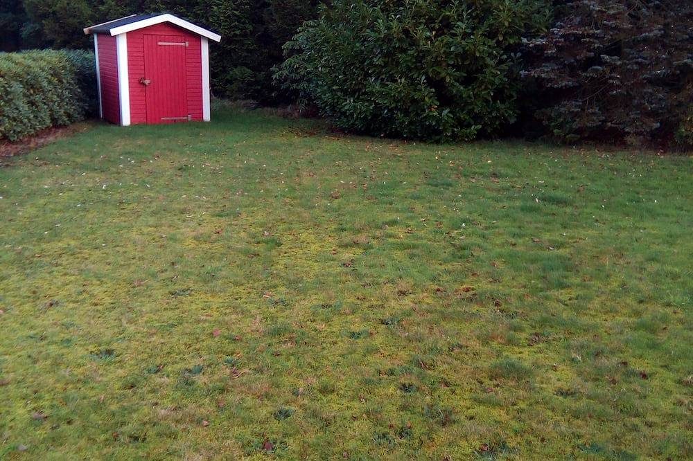 Ferienwohnung in ruhiger Lage mit überdachter Terrasse — Bild 3