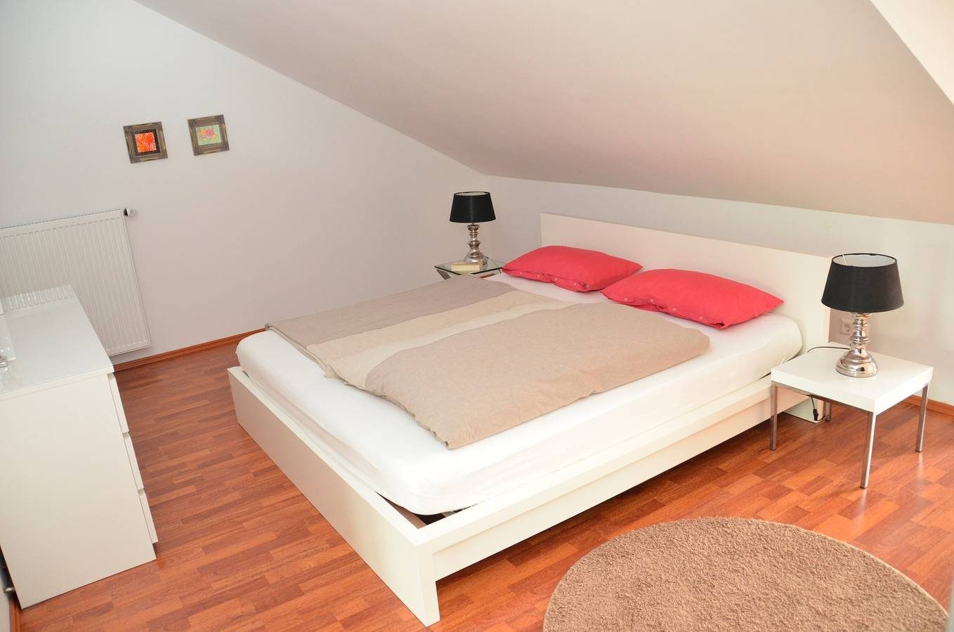 Zaunkönig — Bild 4