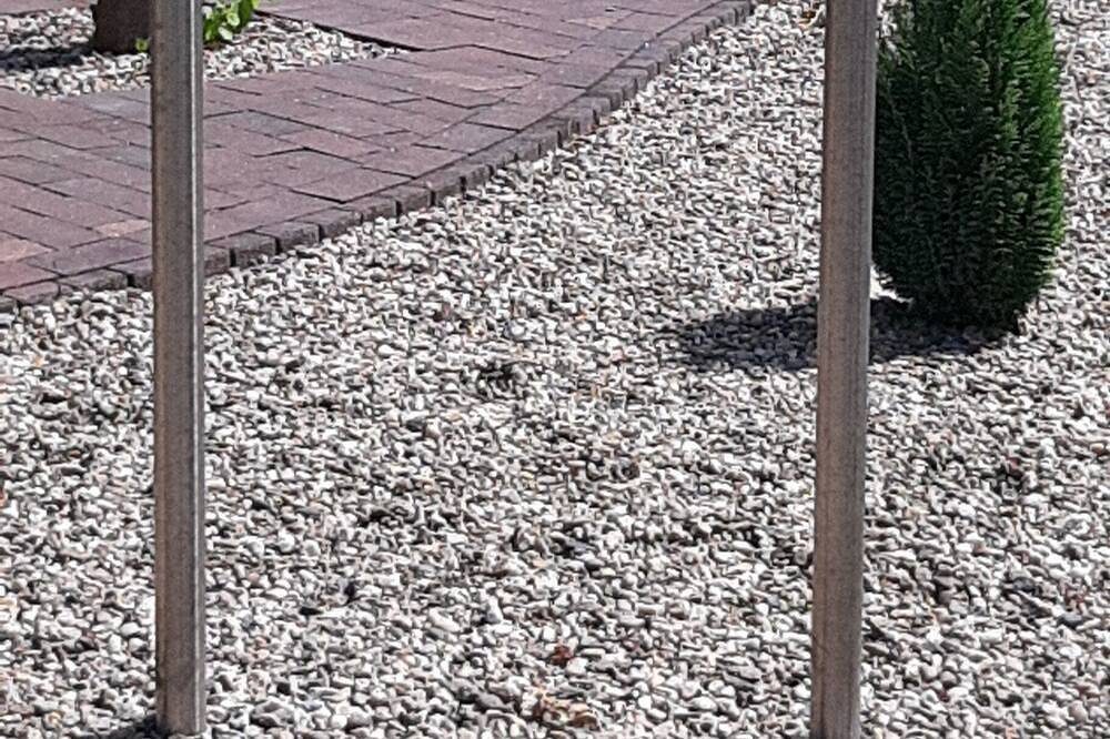 Ferienwohnung\/App. für 4 Gäste mit 90m² in Westoverledingen (146320) — Bild 4