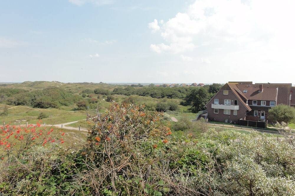 Fw mit Meerblick auf die Robbenbänke von Norderney, geschützter Südwestbalkon — Bild 5
