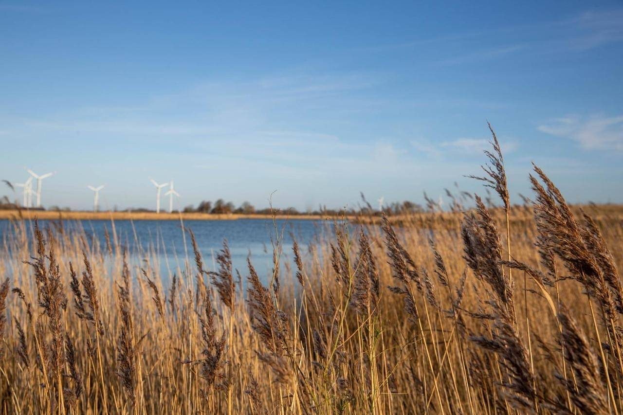Dänisches Blockhaus direkt am Wangermeer — Bild 3