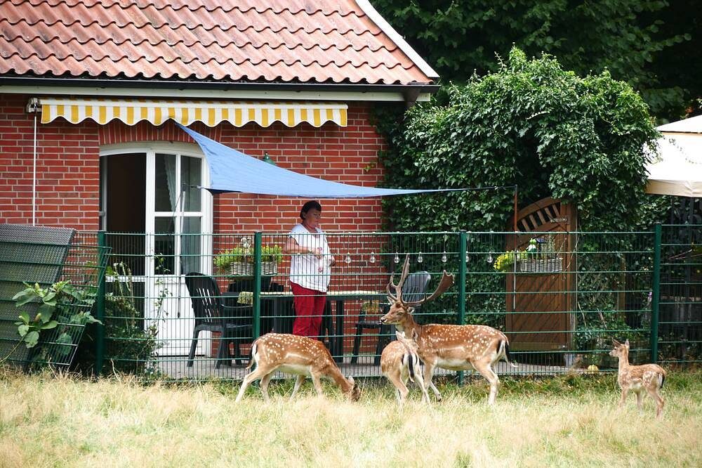 4-Sterne  behindertengerechte Nichtraucher-Wohnung; Haustiere auf Anfrage — Bild 2