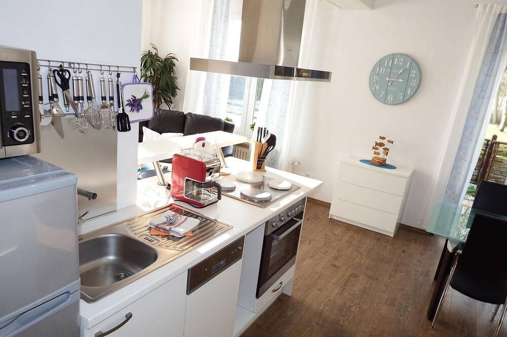 Apartment Labradoodle