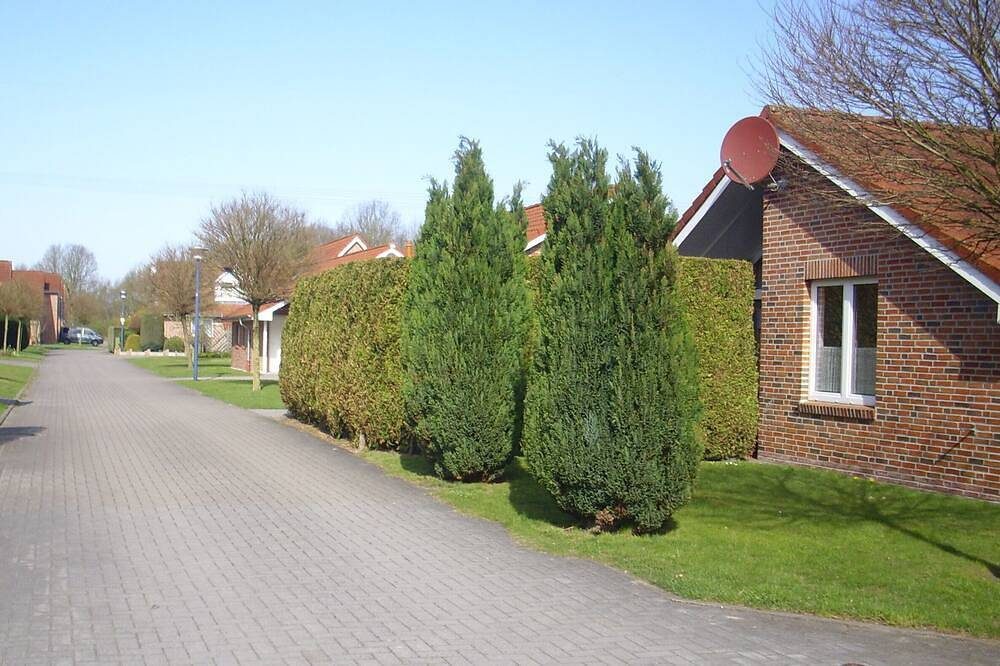 Großzügiger heller ebenerdiger Bungalow für 4 Personen  auf 62 qm Wohnfläche. — Bild 5