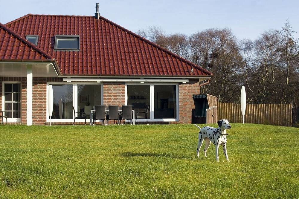 Ferienhaus Borkumland — Bild 5