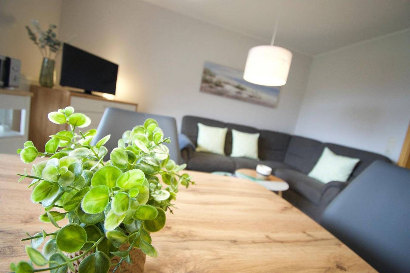 Sonnenterrasse - Kleine gemütliche Ferienwohnung im Erdgeschoss. — Bild 3