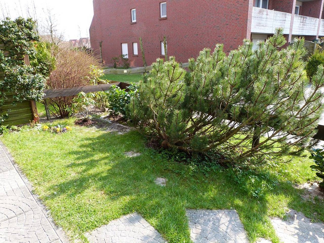 Fehaus Spiekeroog Wohnung 6 — Bild 4