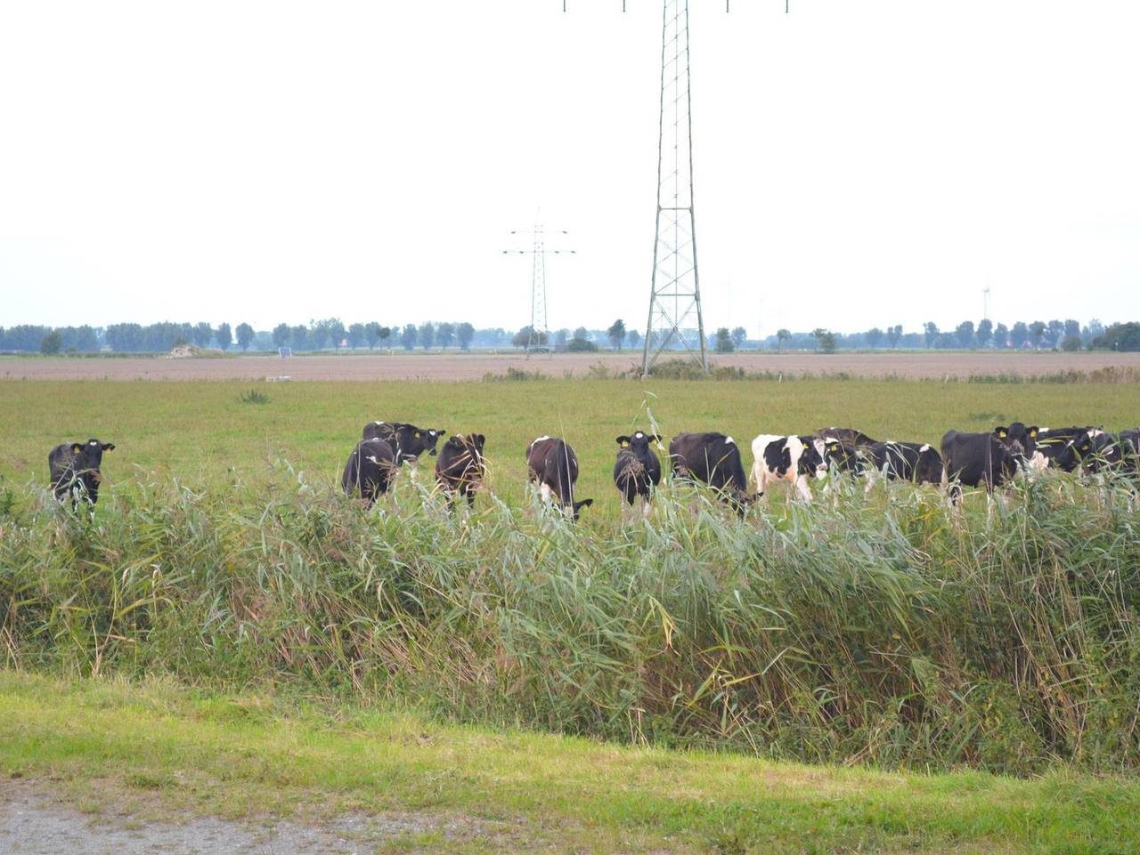 Sparenborg - Fewo Flinthörn I & Ii — Bild 4