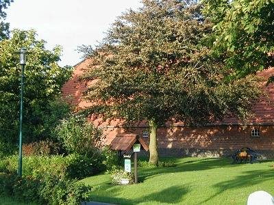 Ferienhof Bremer - Zweibettzimmer Nordblick - 21017 — Bild 4