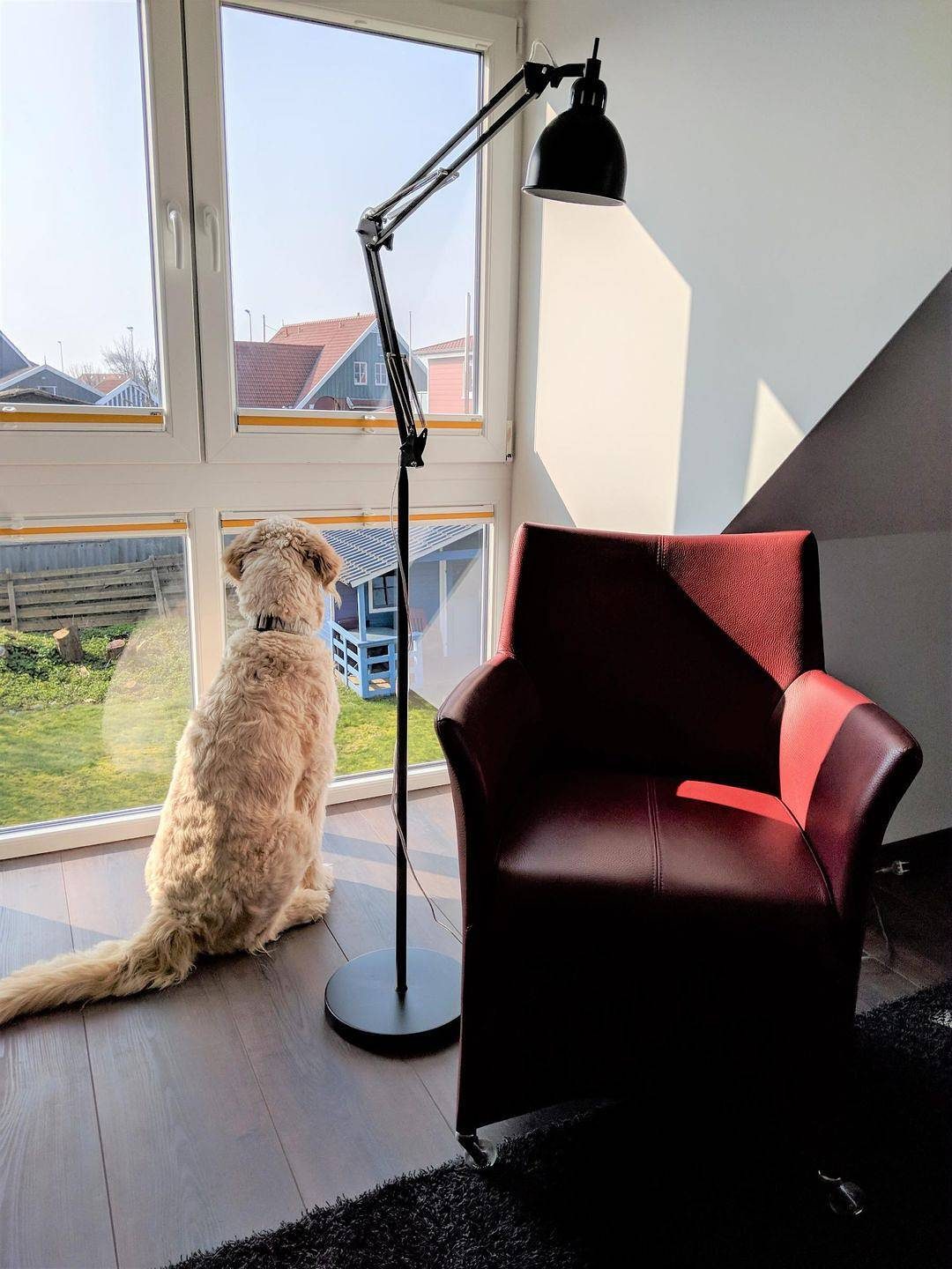 Neu renovierte, moderne Ferienwohnung 'Jan' am Langeooger Ortsrand — Bild 2