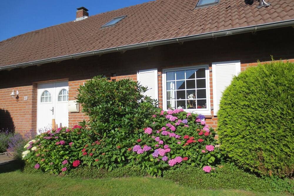 moderne 4****  Ferienwohnung im Luftkurort Hage — Bild 2