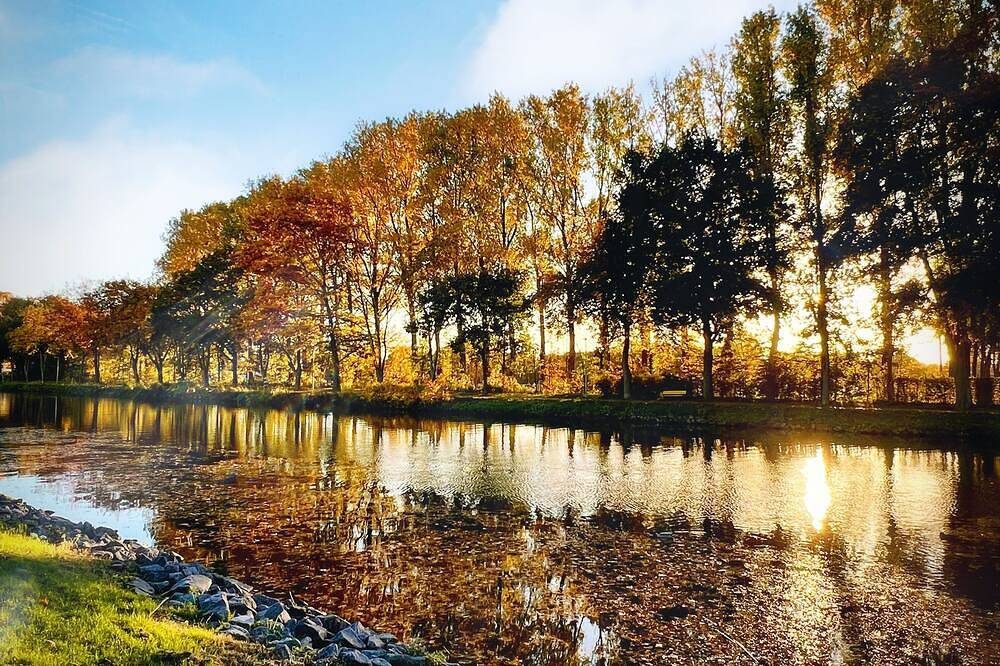 Stadtherz Lingen - Mitten in der City und Doch nah an der Naturz — Bild 5