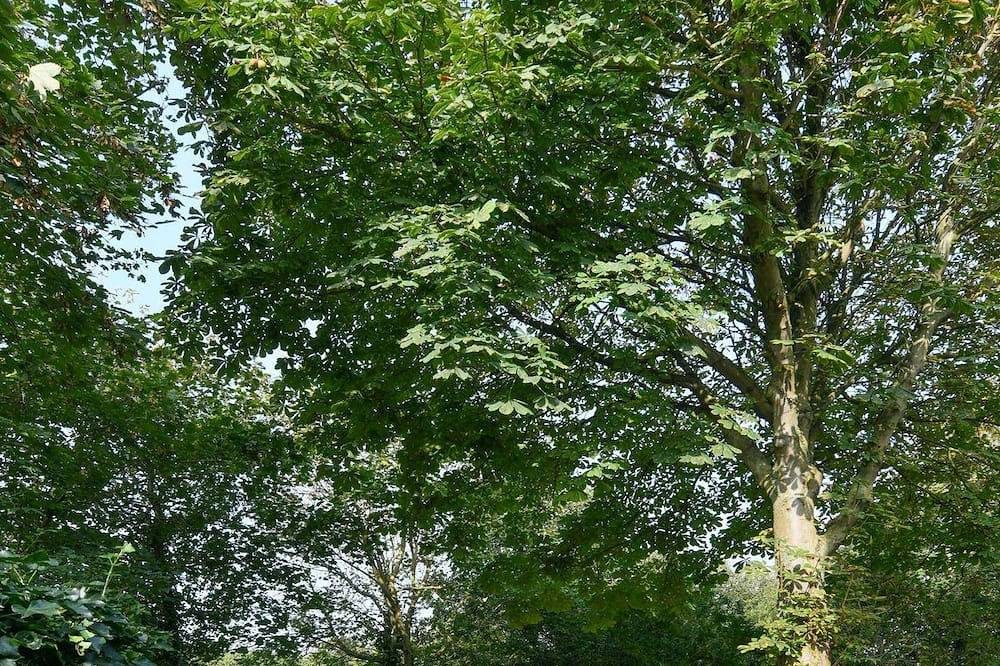 Erleben Sie unvergessliche Momente in der Villa Fredeborg Ferienwohnung Mia! — Bild 2