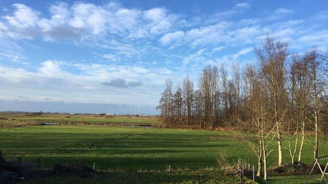 Ferienhaus für 6 Personen (154 m²) in Südbrookmerland — Bild 5