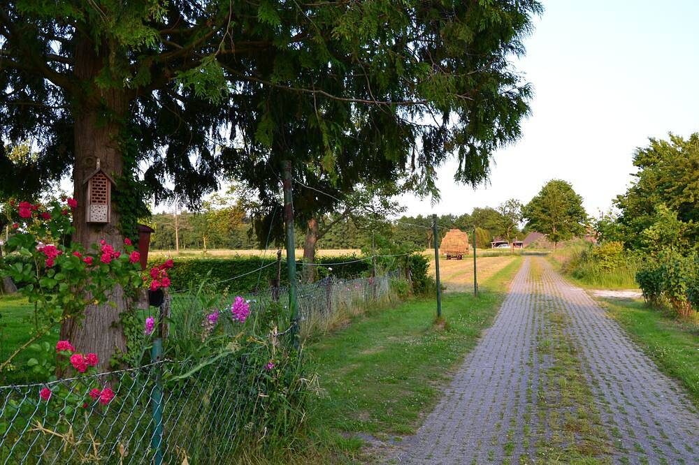 Idyllisch gelegen mit viel Platz drumherum — Bild 2
