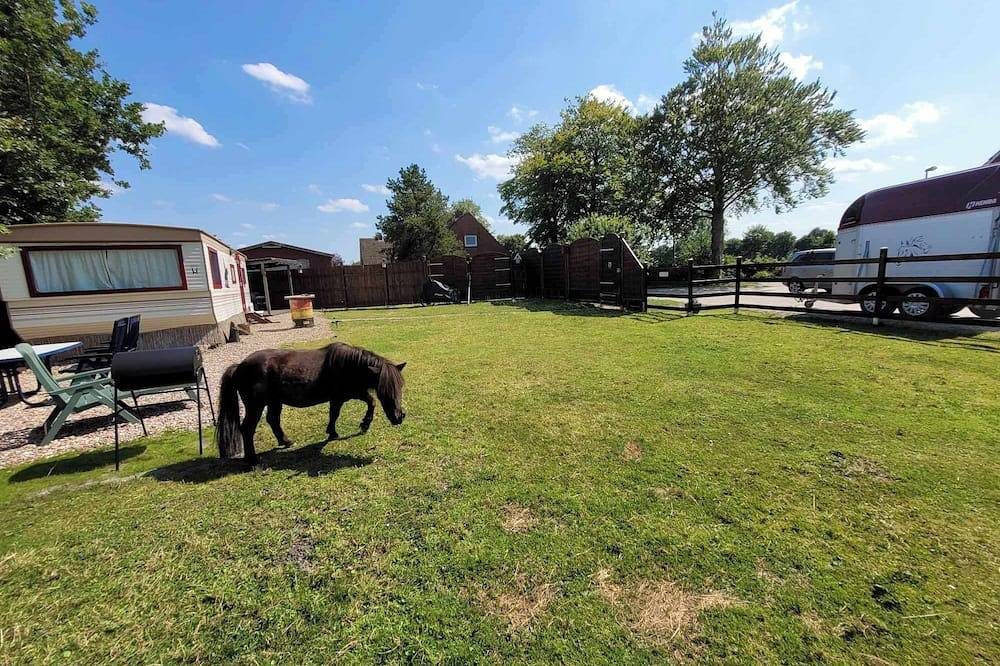 Urlaub mit Campingflair, Komfort und Ponies