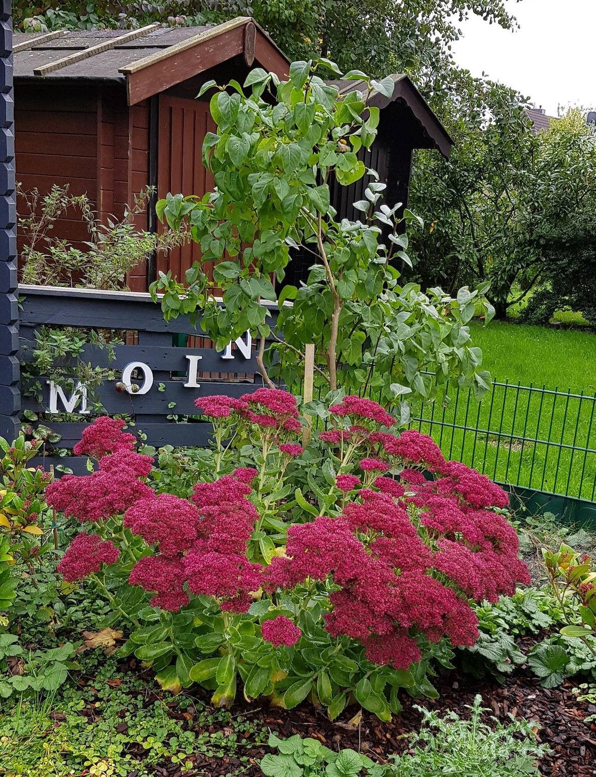 *Weigelt - Ferienwohnung Issy — Bild 2