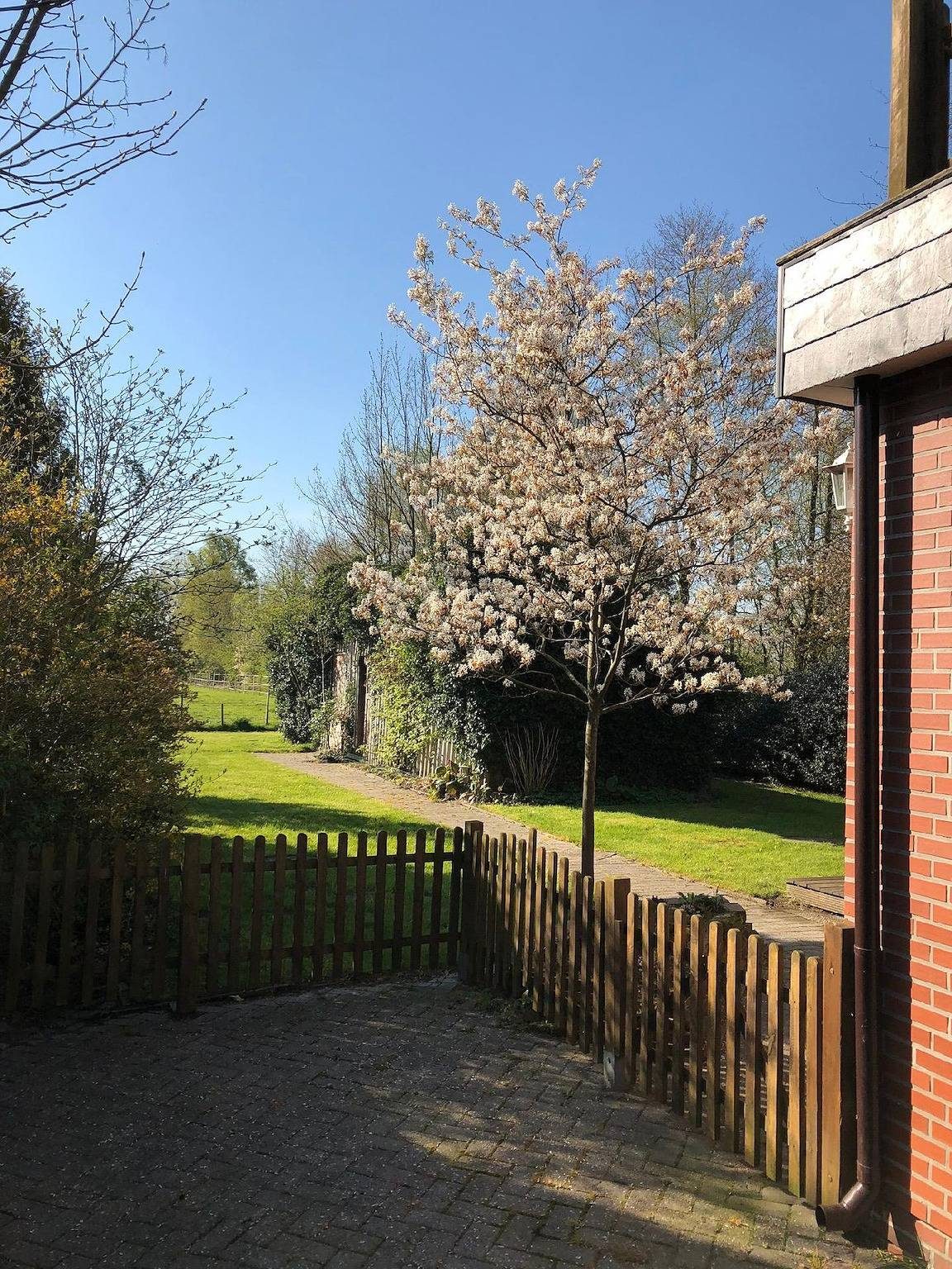 Ferienhaus in Reitmoor mit Garten — Bild 5