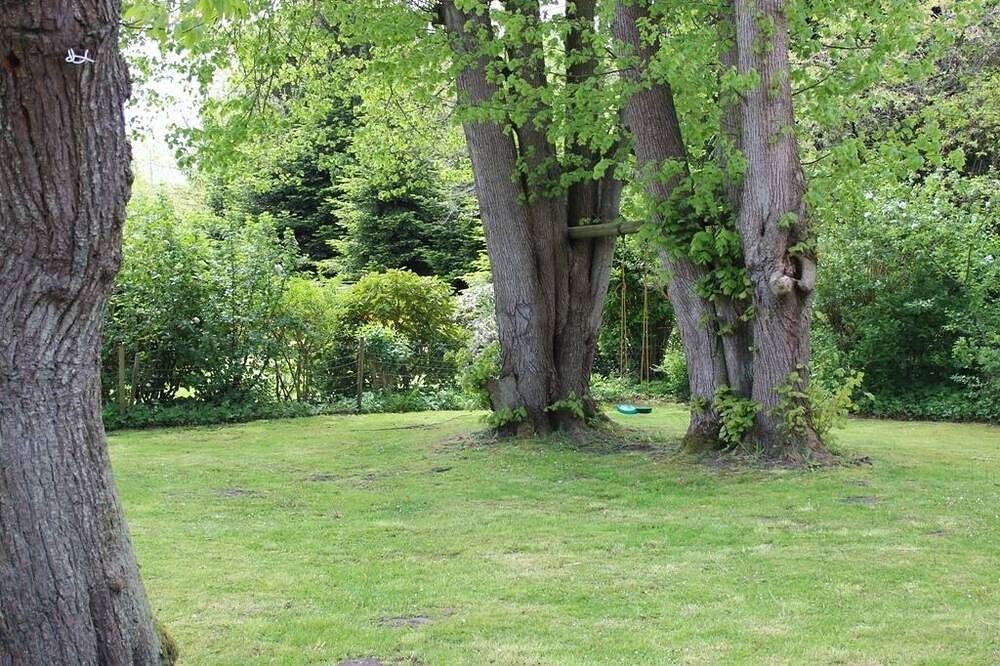 Freistehendes Ferienhaus mit großem Garten — Bild 3