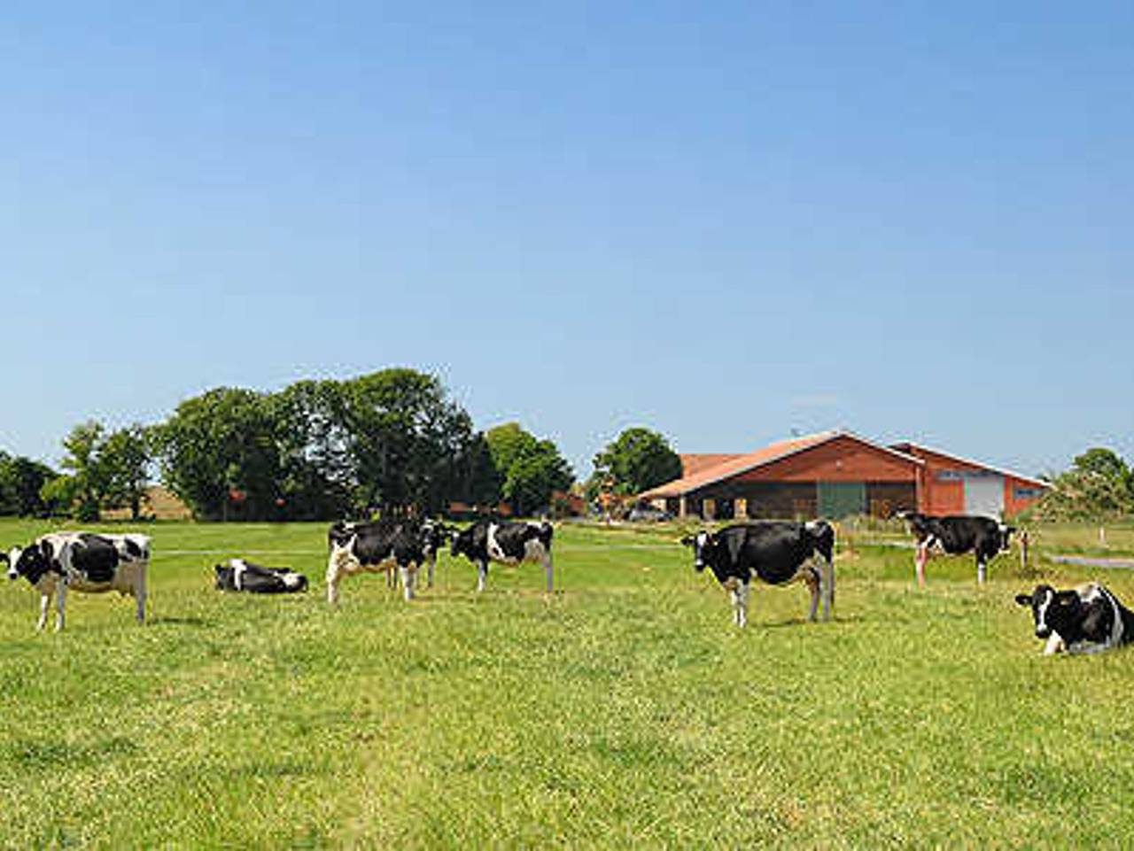 Ferienhof Polderhof in Bensersiel — Bild 2