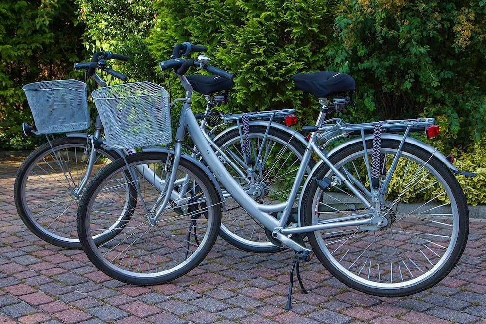 Charmante Ferienwohnung an der Ems in gehobener Ausstattung — Bild 5
