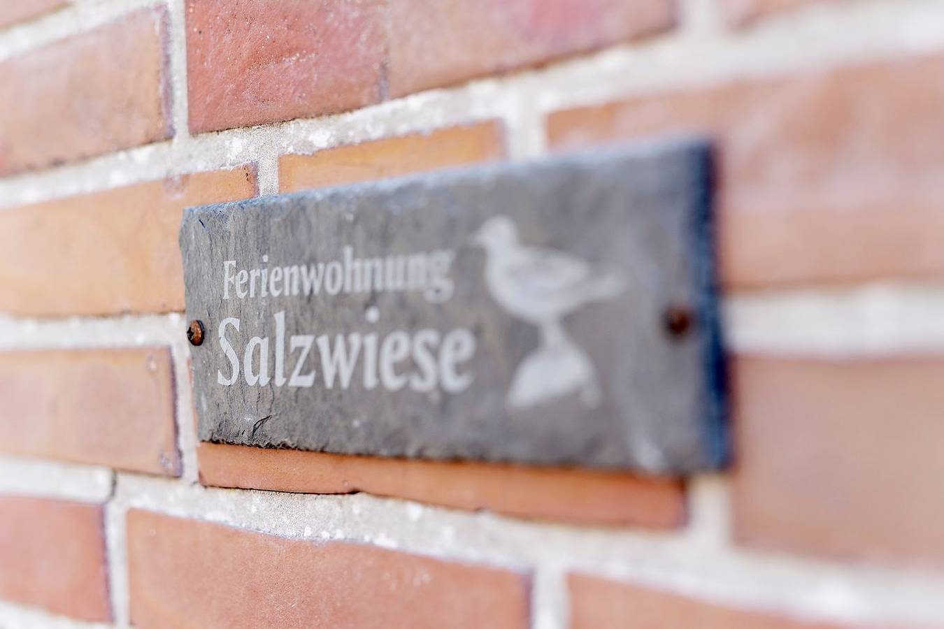 Ferienwohnung Salzwiese im "dat oll Beerkutscherhuus" — Bild 4