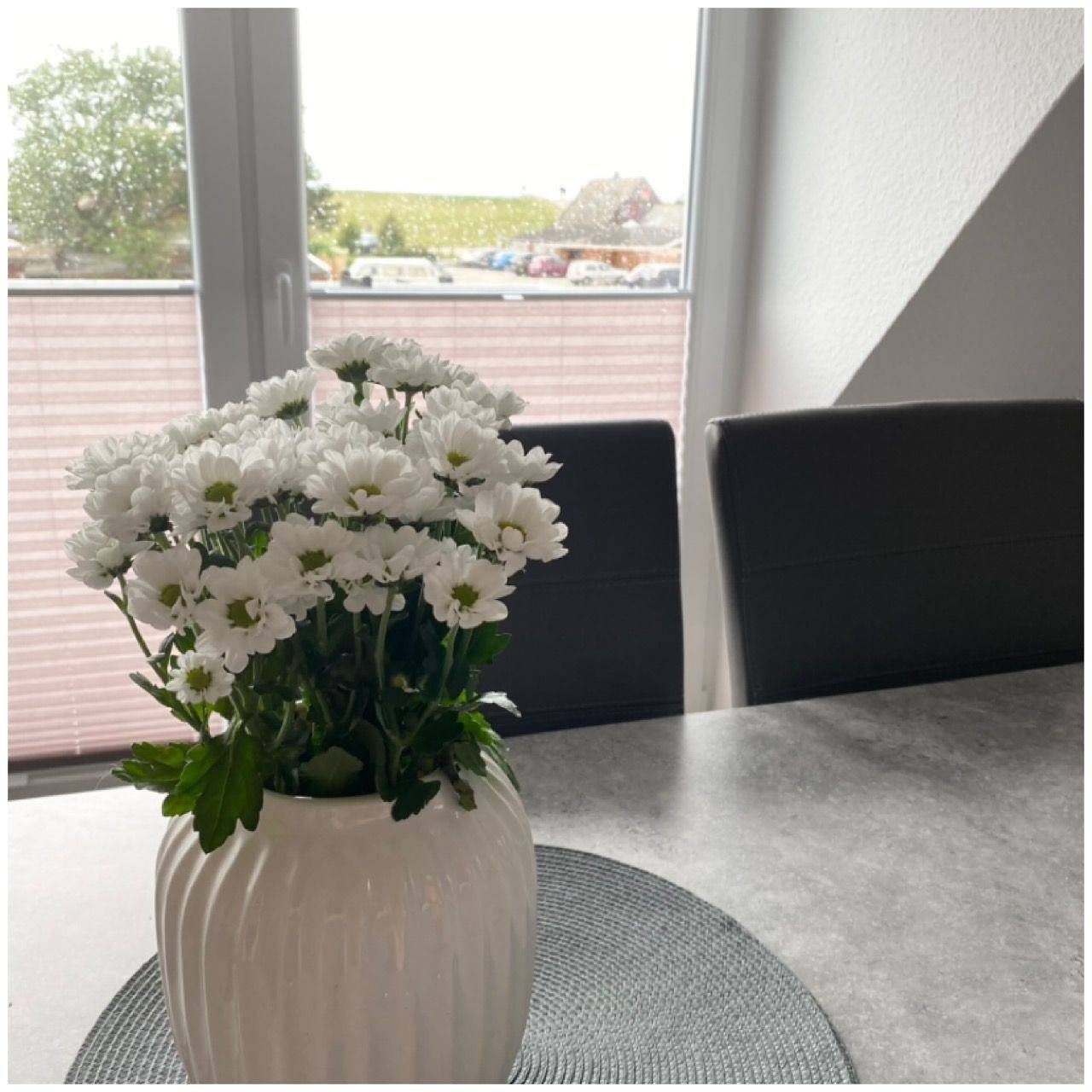 Auszeit, Moderne Maisonette-Wohnung mit Deichblick — Bild 4