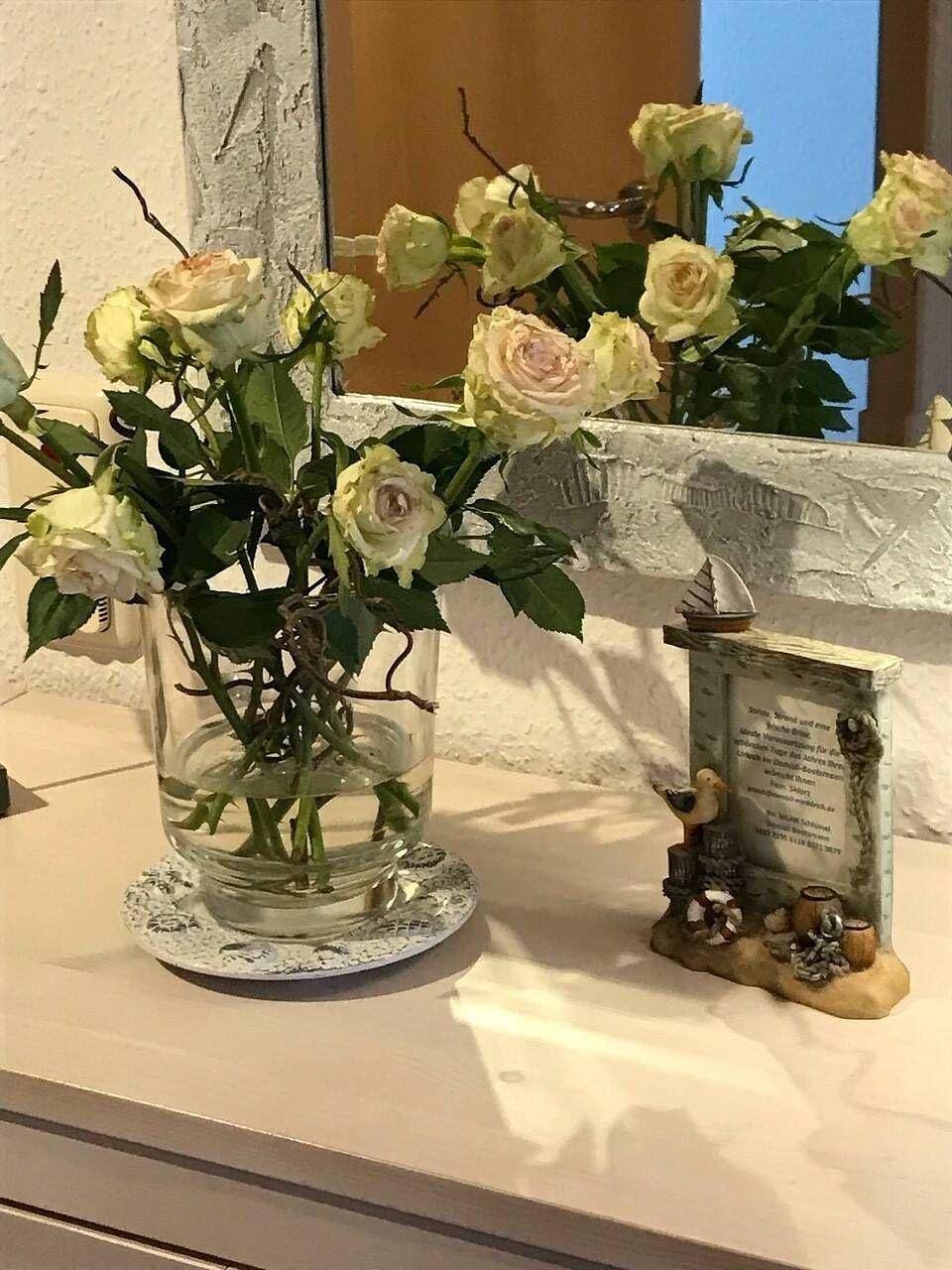 Domizil Bootsmann — Bild 5
