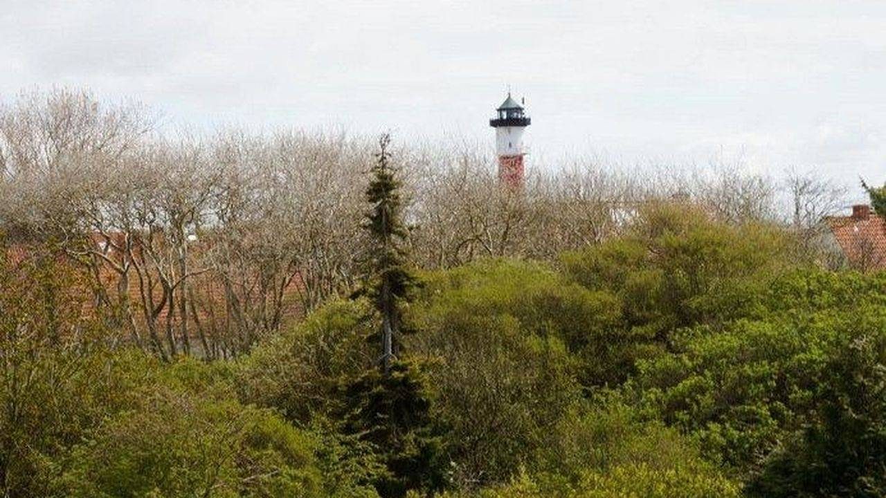 Ferienwohnung für 6 Personen (70 m²) in Insel Wangerooge — Bild 3