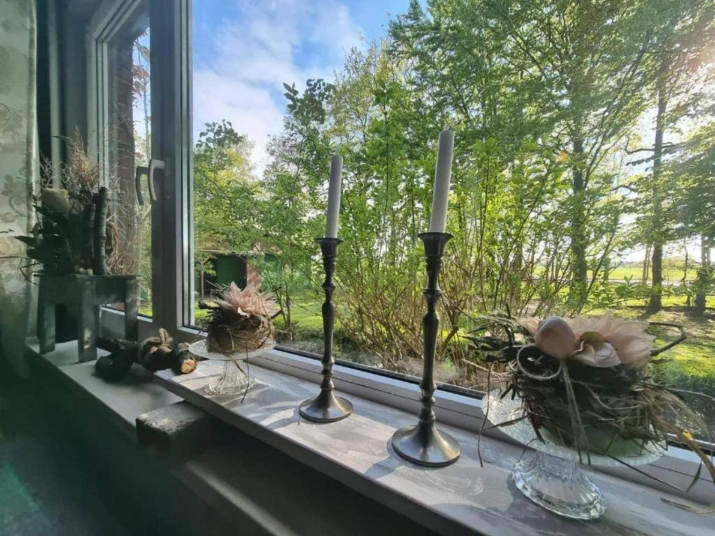 Wohlfühlurlaub auf dem Reit- und Ferienhof Goldberg — Bild 5