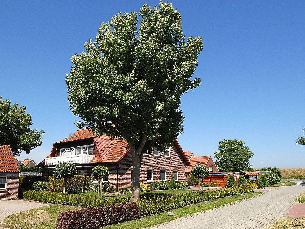 Huus an't Diek in Gründeich — Bild 2