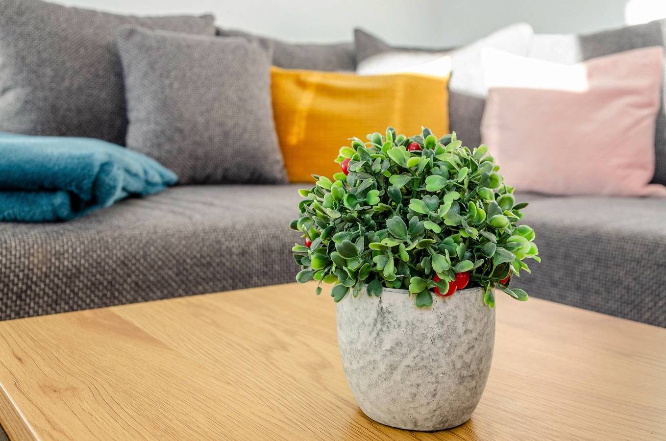 Ferienwohnung 'Ferienhaus Diekster - Erdgeschoss 2' mit privater Terrasse, privatem Garten und Wlan — Bild 4