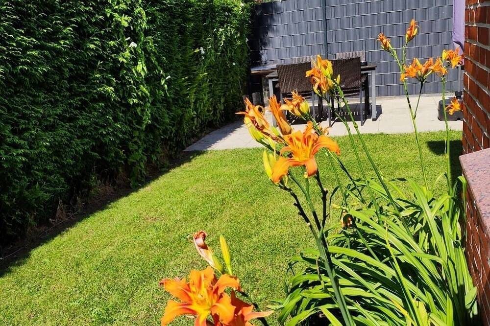 Ferienwohnung\/App. für 4 Gäste mit 50m² in Aurich (176127) — Bild 5