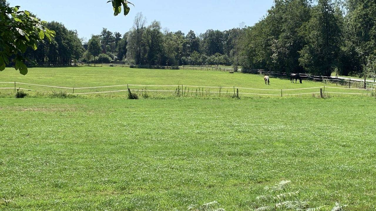 Ferienwohnung für 4 Personen (50 m²) in Schüttorf — Bild 3