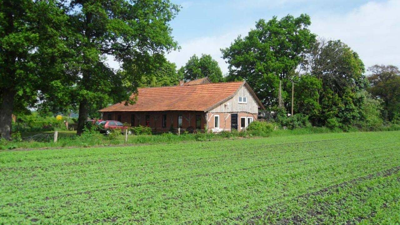 Ferienwohnung für 5 Personen (50 m²) in Itterbeck — Bild 2