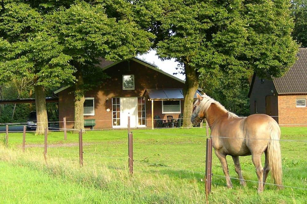 Barrierefreie  **** Ferienwohnung im Grünen